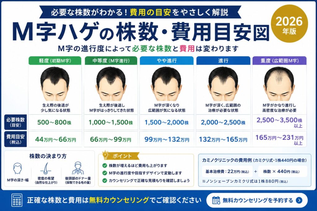 M字ハゲの株数・費用目安図